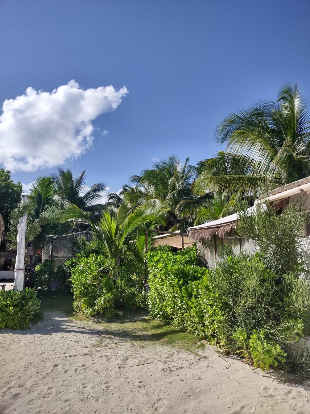 Lunazul Eco-Cabana Frente Al Mar Mahahual Esterno foto