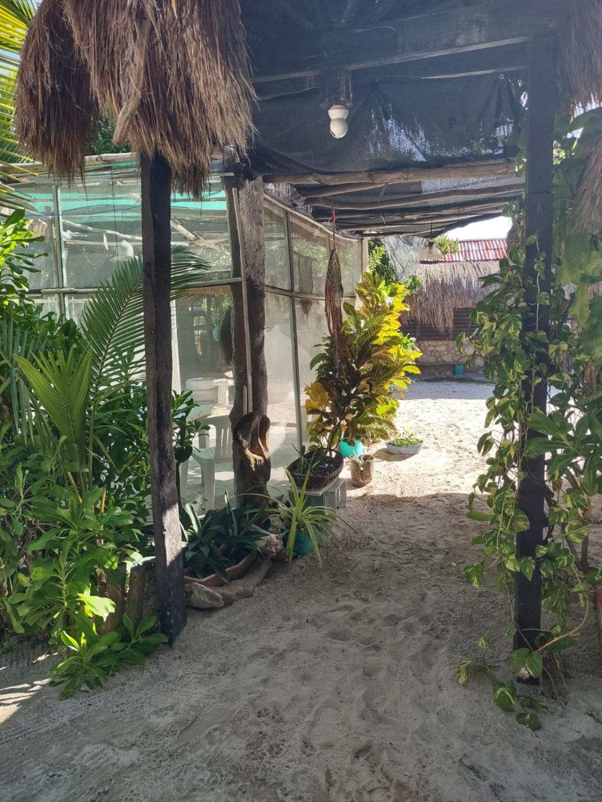 Lunazul Eco-Cabana Frente Al Mar Mahahual Esterno foto